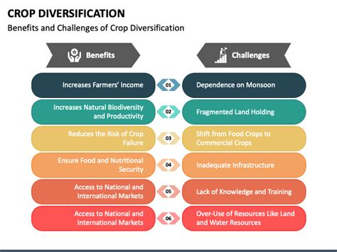 Crop Diversification PowerPoint and Google Slides Template - PPT Slides