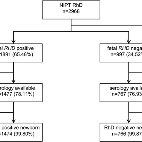 Flow Of Participants NIPT RhD Was Performed With The FetoGnost RhD