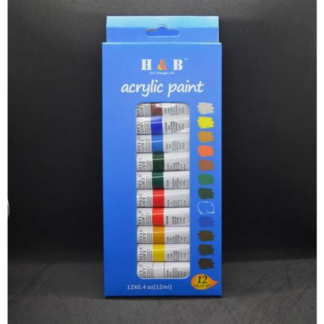 Nsb Hope2Shoppe H B 12 Colors 12 Ml Acrylic Paint Set Professional