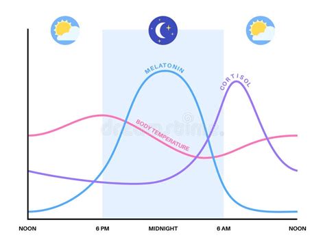 Sleep wake cycle stock vector. Illustration of schedule - 250771909