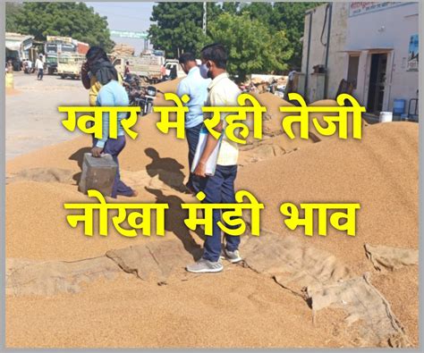 ग्वार में रही तेजी देखे आज के नोखा मंडी भाव Mandi Bhav Rajasthan