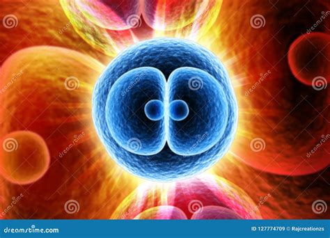 3d Rendered Zygote Cell Division on Color Background Stock Illustration - Illustration of ...