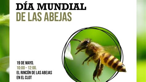 Día Mundial de las Abejas Ayuntamiento de Elche