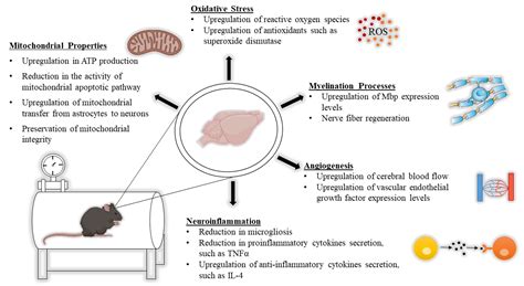 Biomolecules Free Full Text Molecular And Therapeutic Aspects Of