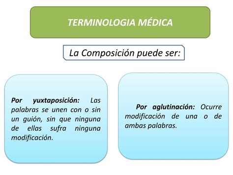 PPT TERMINOLOGIA MÉDICA PowerPoint Presentation free download ID