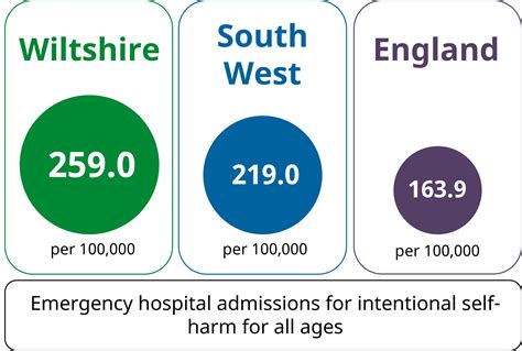 CAJSNA 2024 - Health Wiltshire Intelligence