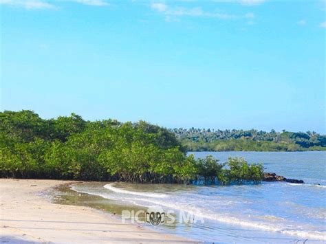 Praia De Ju Atuba S O Jos De Ribamar Picosma