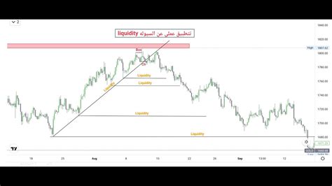 محاضره الثامنه Part 1 السيوله Liquidity سمارت مني Smart Mony Concepts