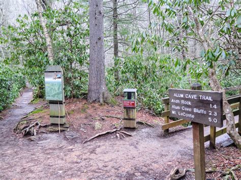 Mount LeConte Hike