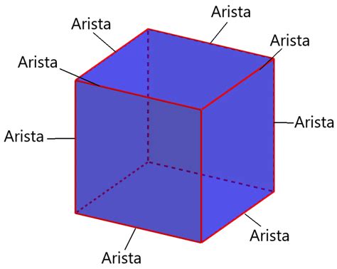 Partes De Un Cubo Caras V Rtices Y Aristas Neurochispas The Best Porn