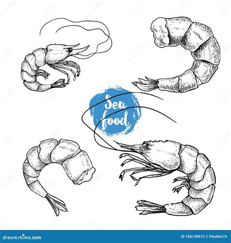 Hand Drawn Sketch Style Seafood Set Shripms Prawns Collection Vector