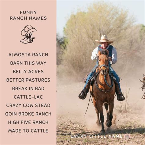 140+ Best Ranch Names (Creative, Cute, and Memorable) - Every Little Name