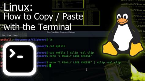 How To Copy And Paste Files In Linux Terminal Templates Sample Printables