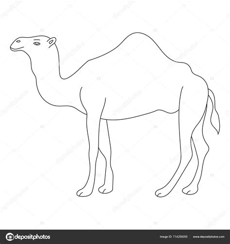 Camel Clipart Doodle Animal Clipart 卡通片 野生动物爱恋 图库矢量图©ahmed4freelance