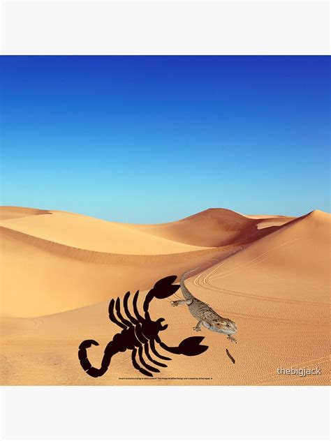 Desert Scorpions Trying To Catch A Lizard This Image Modified Design