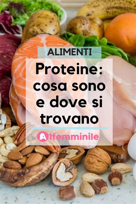 Proteine Cosa Sono E Dove Si Trovano Artofit