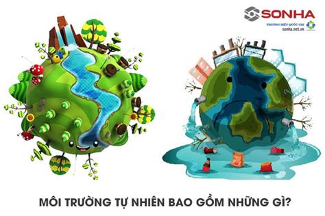 Môi Trường Tự Nhiên Là Gì Tìm Hiểu Vai Trò Thực Trạng Biện Pháp Khắc