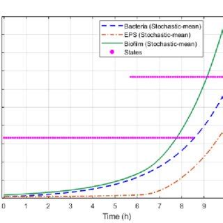 Average Concentration Ratios Of The Biofilm And Its Components With The