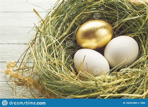 One Gold And Two Ordinary Eggs In The Hay Nest Stock Image Image Of