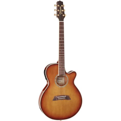 takamine акустическая гитара