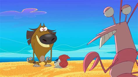 Season 1 🌴zig And Sharko Best Clip Hd Rivals 41 Youtube