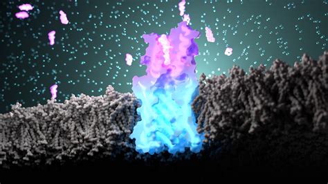 Designing Synthetic Smell Receptors Baker Lab