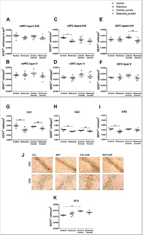 Altered Sert Immunodensity In A Rotenone Induced Pd Model With Or