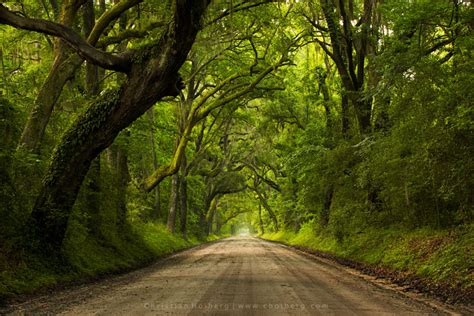 Landscape Photography in Botany Bay SC - CaptureLandscapes