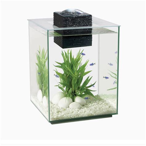 FLUVAL CHI 19L Pet Supplies Homes Other Pet Accessories On Carousell