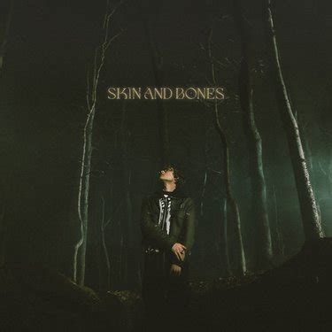 David Kushner - Skin and Bones - Reviews - Album of The Year