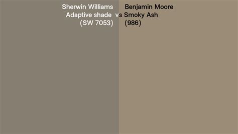 Sherwin Williams Adaptive Shade SW 7053 Vs Benjamin Moore Smoky Ash