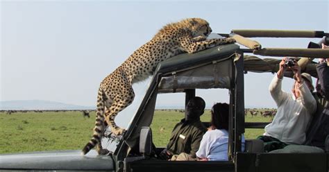 Nairobi Tour Di Gruppo Di Giorni Nel Maasai Mara Con Safari In Jeep