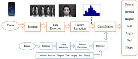 Face Emotion Object Detection Dataset And Pre Trained Model By Iium Hot Sex Picture