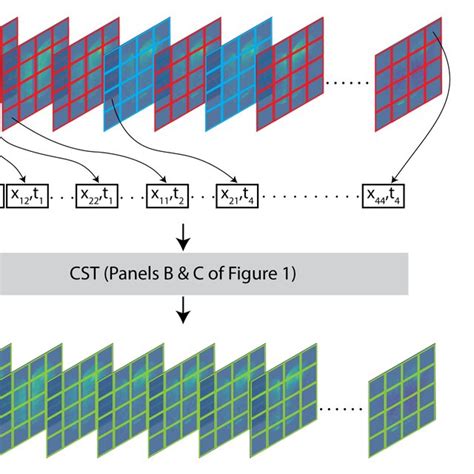 Diagram Of Cst Spatiotemporal Encoding For Calcium Imaging Recordings