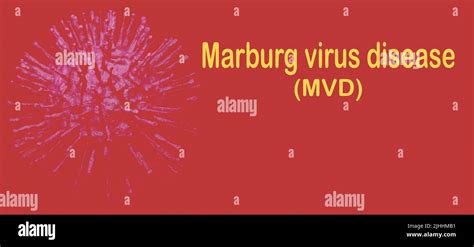 Enfermedad Del Virus De Marburg Concepto De Brote De Enfermedad Por El