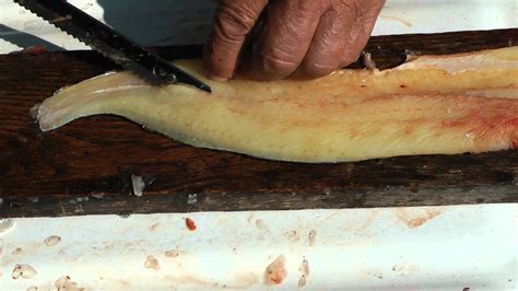 Northern Pike Bone Removal For Boneless Fillet Best Ever Instructional