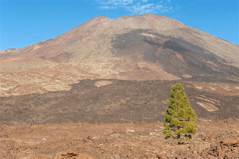 Instantes Fotos De Sebasti N Navarrete Parque Nacional Del Teide