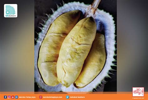 Pemupukan Durian Yang Tepat Dan Berimbang NPK Mutiara Terpercaya