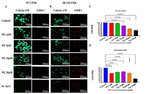 Pg Promotes Anoikis In Taxane Resistant Pca Cell Lines A Pc Txr And