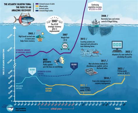 Atlantic Bluefin Tuna Season 2024 Dates - Deni Charmain