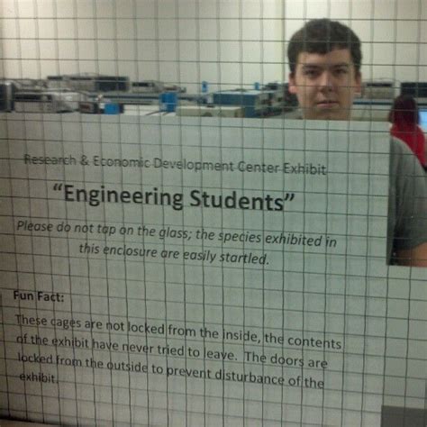 I Tapped On The Glass He Popped Up Funny Quotes Engineering