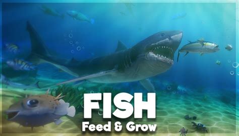feed  grow fish  steam