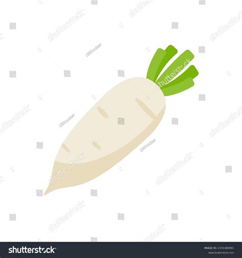 21,007 Asian White Radish Images, Stock Photos & Vectors | Shutterstock