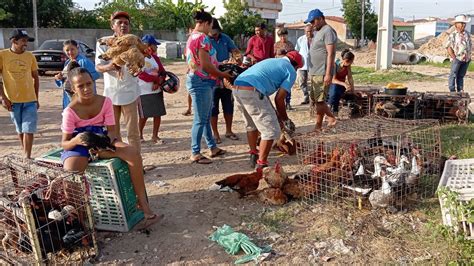 Vanio Das Galinhas Registrando As Novidades Da Feira Em Dois Riachos