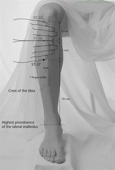 St 37 Upper Great Emptiness Shangjuxu Acupuncture Points 1