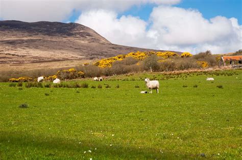 About Islay – Ardtalla Cottages