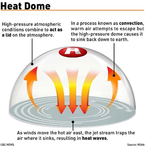 Surviving the Heat: Understanding the Heat Dome Phenomenon | Danby Canada