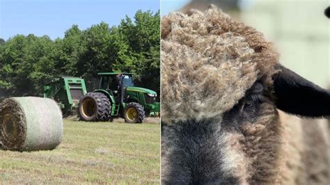 10 things to keep in mind when starting a farm | AGDAILY