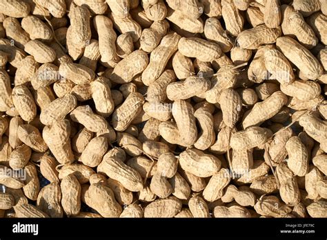 Peanuts In Shell Texture Background Raw Peanuts Top View At A Farmer S