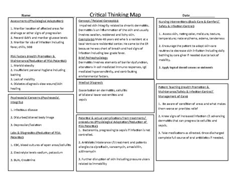 Skin Integrity Concept Map Example Nursing Interventions Basic